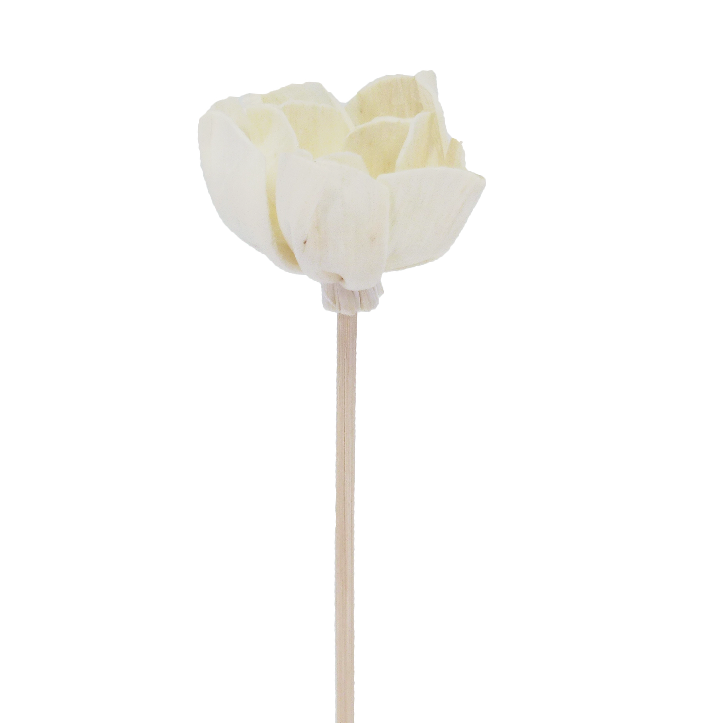 Campanulate Andromeda Flower - Rattan Diffuser Stick-0