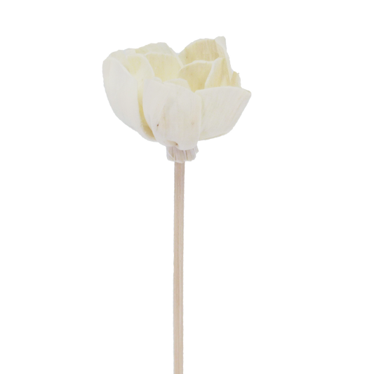 Campanulate Andromeda Flower - Rattan Diffuser Stick-0